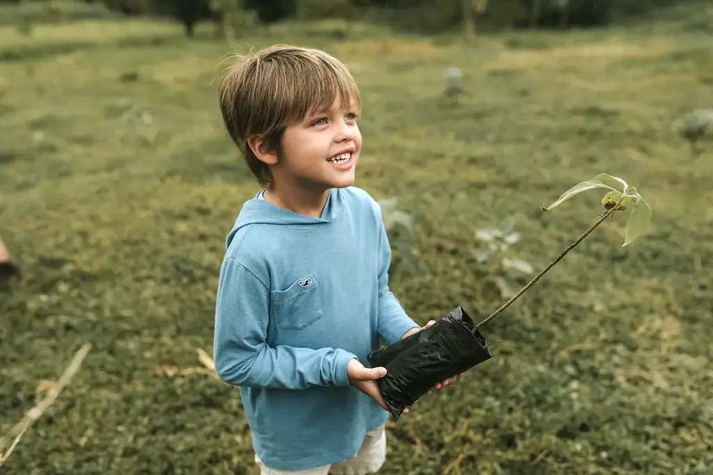 A young guest holding a sapling in a highland field