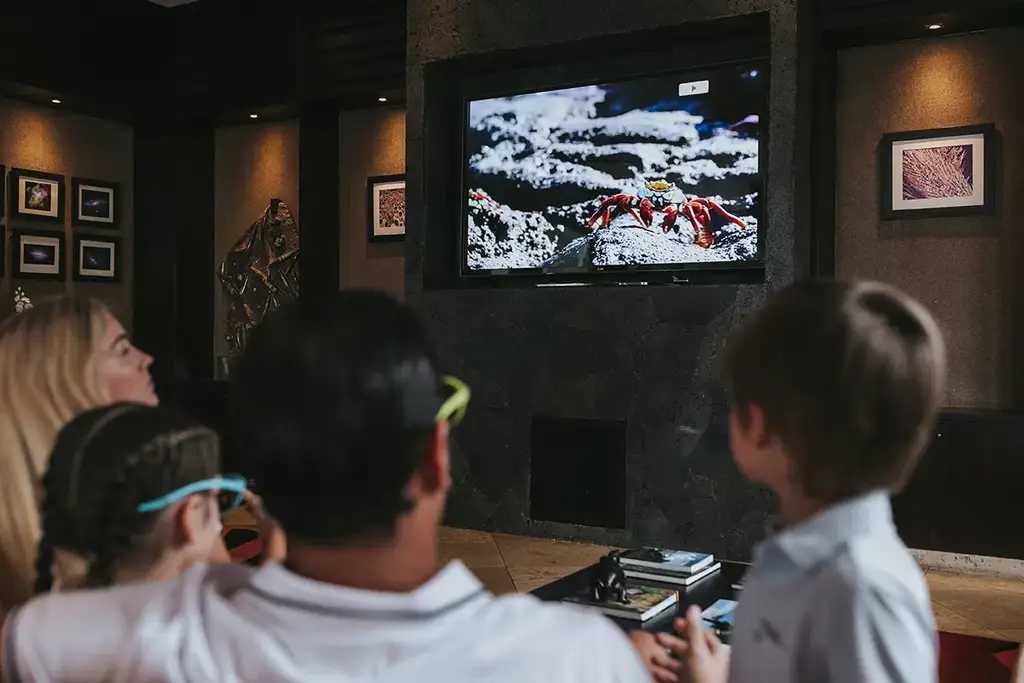 Guests watching a nature film in the lodge lounge