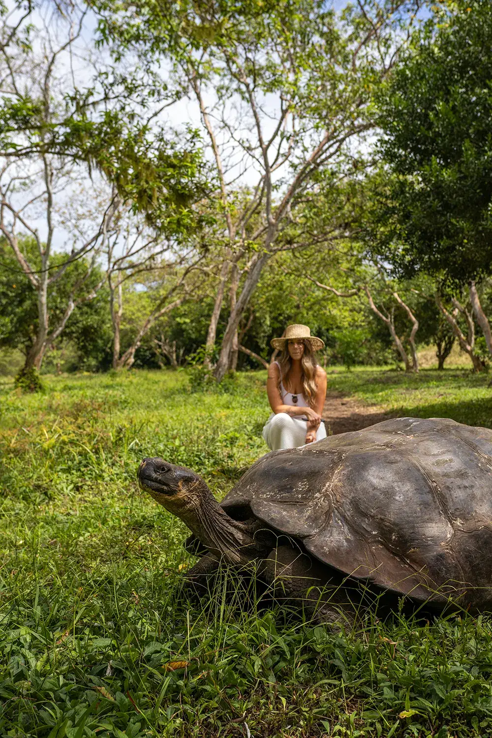 GIANT TORTOISE RESERVE