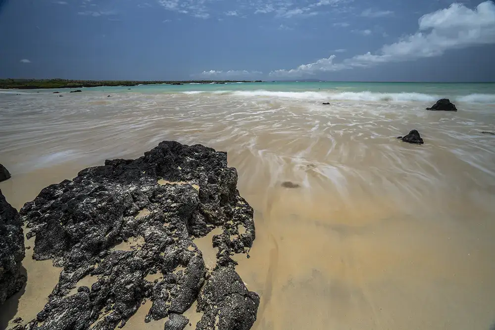 TORTUGA BAY