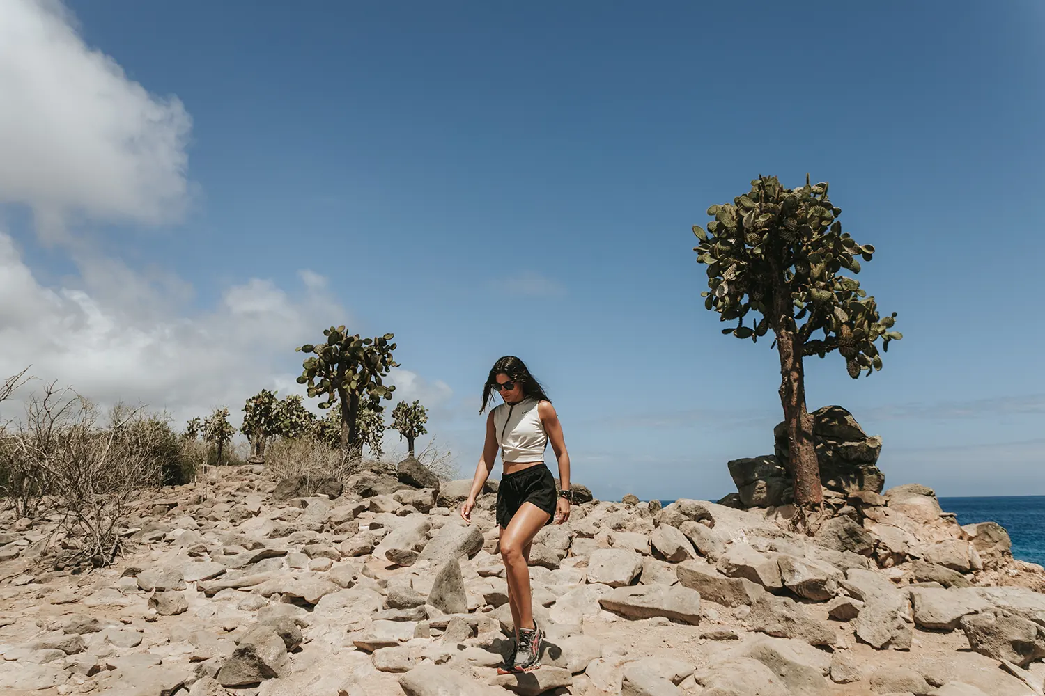Solo traveler overlooking the Galápagos ocean