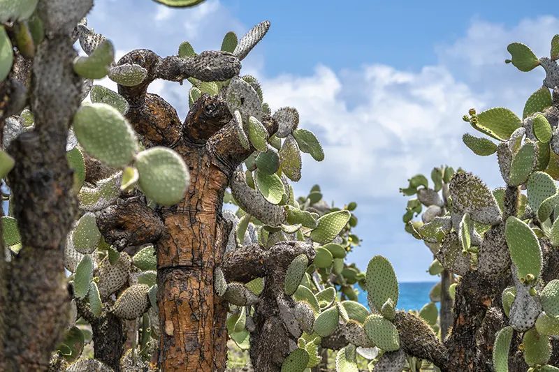 6 sun-soaked island archipelagos to visit for a winter getaway