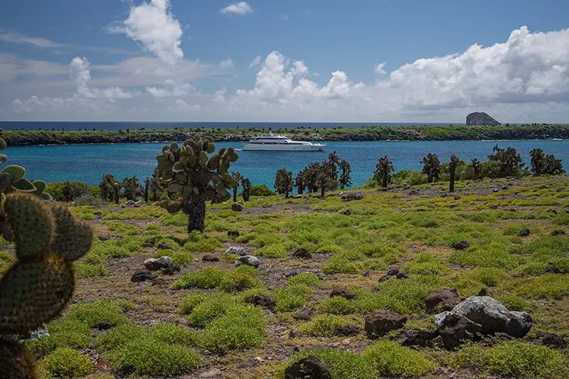 Explore the Untamed Beauty of Galapagos Islands