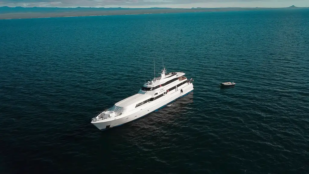 M/Y Vision Pikaia at sea