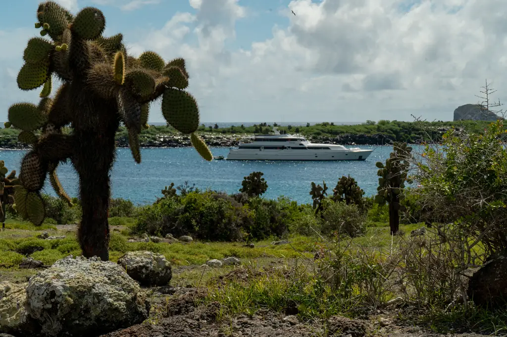 M/Y Vision Pikaia on a Galápagos day navigation